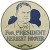 Image 1 : 2 Large 1928 Presidential Campaign License Disks