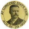 Image 1 : Theodore Roosevelt Campaign Button