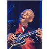 Image 1 : BB King Signed Photo