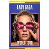 Image 1 : Lady Gaga Poster Autographed Signed