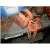 Image 3 : 2 chain hoists