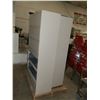 Image 1 : 2 Meatal Storage Cabinets
