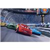 Image 1 : Cars Lightning McQueen Paul Newton Signed Photo
