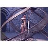 Image 1 : Wonder Wonman Gal Gadot Signed Photo