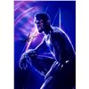 Image 1 : Chadwick Boseman Autograph Signed Black Panther Photo