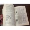 Image 9 : 1935 DOMINION OF CANADA BOOK WEEDS AND WEED SEEDS 76 PAGES