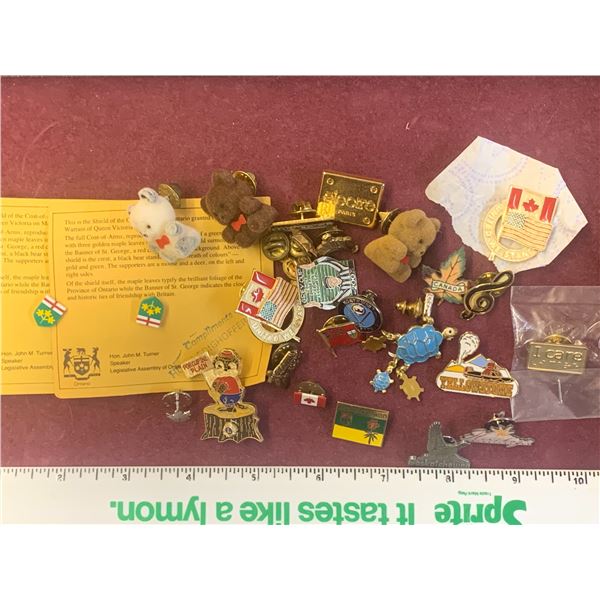 LOT OF VARIOUS PINS