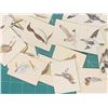 Image 2 : LOT OF VINTAGE PARKHURST BIRD IDENTIFICATION CARDS