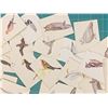 Image 4 : LOT OF VINTAGE PARKHURST BIRD IDENTIFICATION CARDS