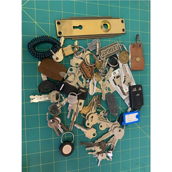 LOT OF KEYS KEYCHAINS ETC