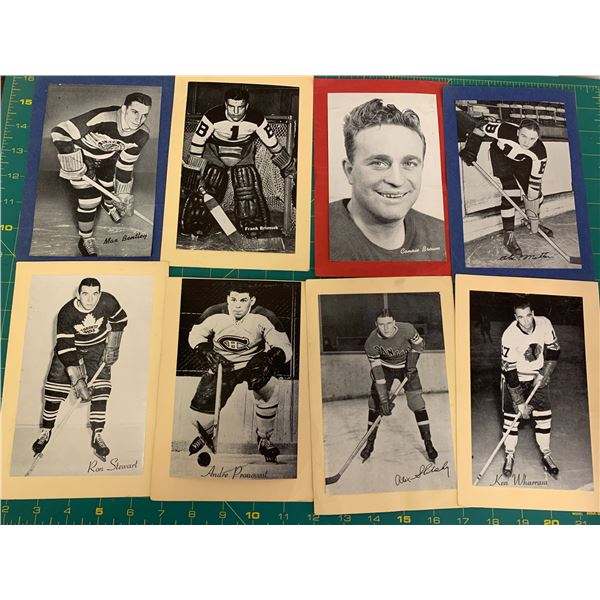 LOT OF BEEHIVE HOCKEY CARD PHOTOS