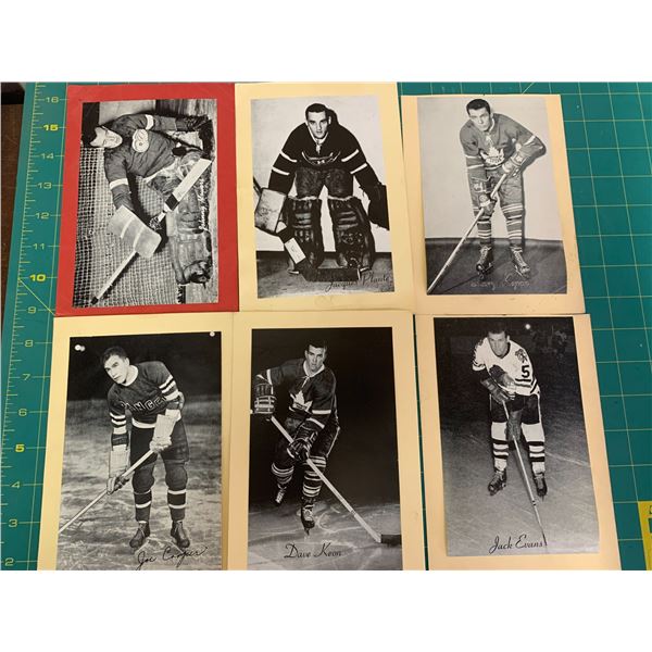 LOT OF BEEHIVE HOCKEY CARD PHOTOS