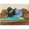 Image 1 : LOT OF COWBOY HATS