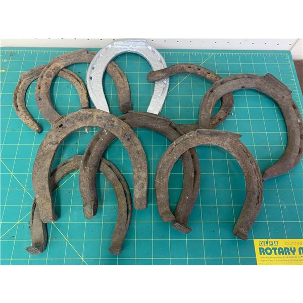 LOT OF HORSESHOES