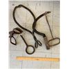 Image 1 : ICE TONGS HOOKS ETC