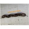 Image 1 : CHUNK OF LARGE CHAIN LINKS