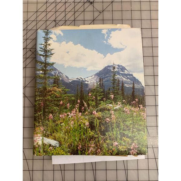 BOOK OF AIRPLANE AND MODEL RELATED CLIPPINGS DIAGRAMS ETC