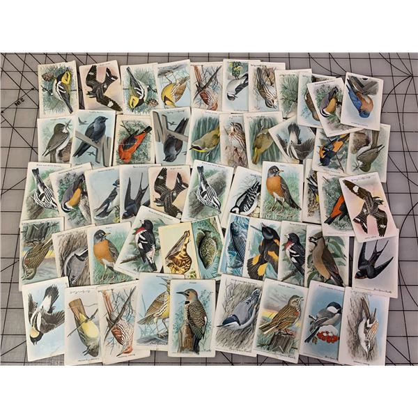 LOT OF VINTAGE USEFUL BIRDS OF AMERICA CARDS