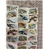 Image 2 : LOT OF VINTAGE USEFUL BIRDS OF AMERICA CARDS