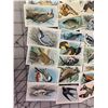 Image 4 : LOT OF VINTAGE USEFUL BIRDS OF AMERICA CARDS