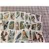 Image 5 : LOT OF VINTAGE USEFUL BIRDS OF AMERICA CARDS