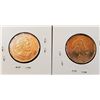 Image 4 : 2009 Canadians Loonie x 2