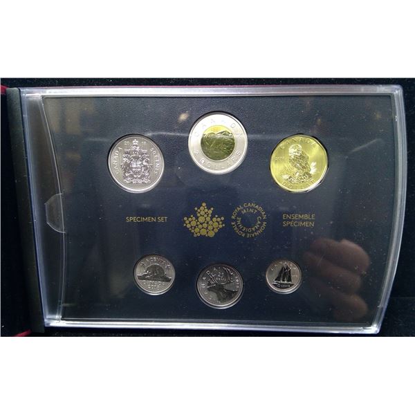 2018 Specimen Set - Burrowing Owl