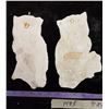 Image 5 : Owl Figurine & 2 Owl Wallhangings