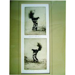 MICHAEL B. COLEMAN (1946 - )