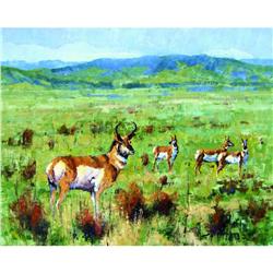 JERRY MARKHAM (1978 - )