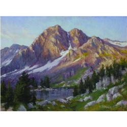 AARON SCHUERR (1973 - )