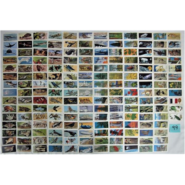 Lot 176 1960's-70's Brook Bond Red Rose/Blue Ribbon collector cards series - various, no doubles