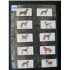 Image 1 : LOT of 10 Different JOHN PLAYER & SON TOBACCO CARDS - DOGS