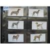 Image 3 : LOT of 10 Different JOHN PLAYER & SON TOBACCO CARDS - DOGS