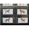Image 4 : LOT of 10 Different JOHN PLAYER & SON TOBACCO CARDS - DOGS