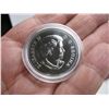 Image 3 : 2013 BRILLIANT UNCIRCULATED SILVER DOLLAR - 99.99 Pure Silver