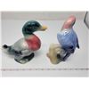 Image 2 : Royal Copley duck - parrot