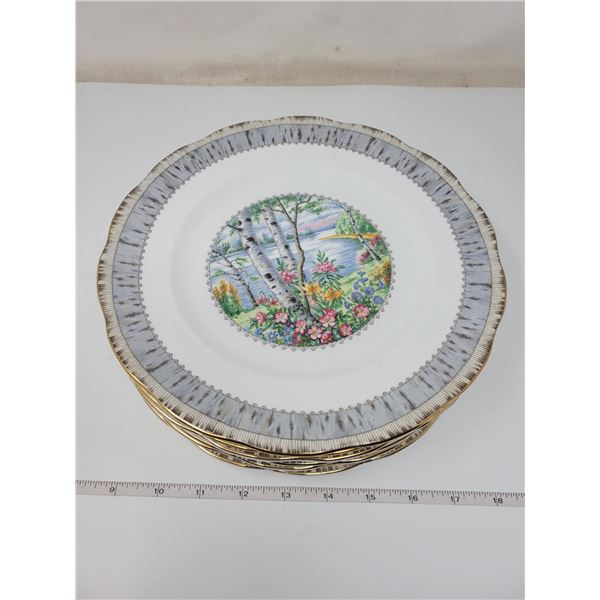 6 Royal Albert dinner plates (silver birch)