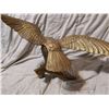 Image 6 : large brass eagle 26" wing span 20" high