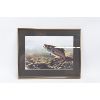Image 1 : Brook Trout by Michael Dumas Framed Matted 