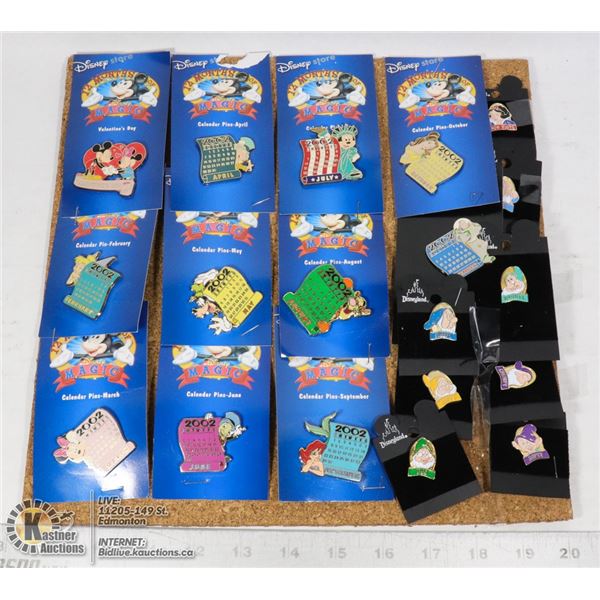 NEW 2002 PINS DISNEY STORE 12 MONTH