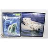 Image 1 : TWO FRAMED POLAR BEAR PICTURES - 1 PICTURE IS