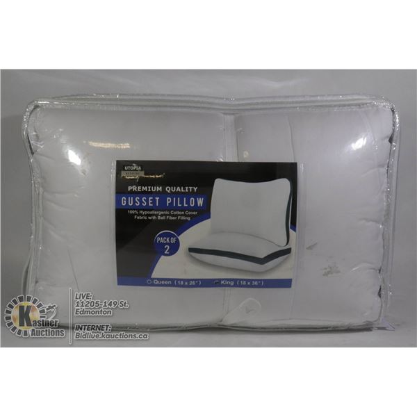 PACK OF TWO GUSSET PILLOWS