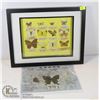 Image 1 : RARE ANTIQUE JAPANESE PRESSED BUTTERFLY COLLECTION AUTHENTICITY INSURED WITH PIC OF EXACT COLLECTION