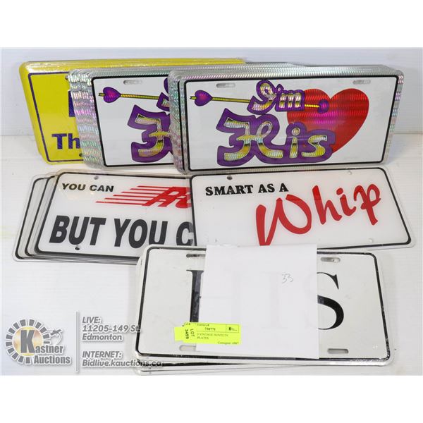 LOT OF 33 VINTAGE NOVELTY LICENSE PLATES LOT 3