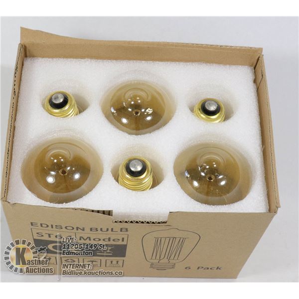 6 PACK OF EDISON BULBS ST64 MODEL