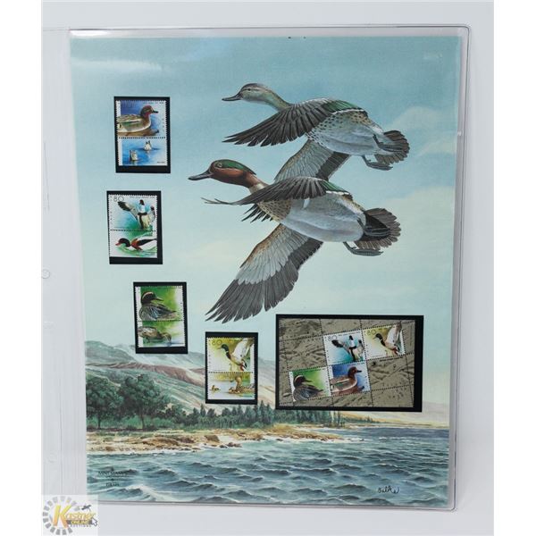UNFRAMED DUCK PRINT WITH MINT ISRAEL STAMPS