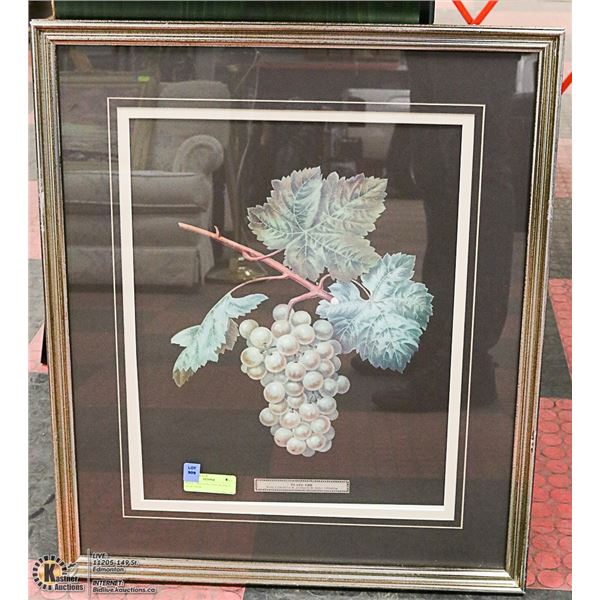 PLATE  LXIII PAINTED/PUBLISHED BY AUTHOR