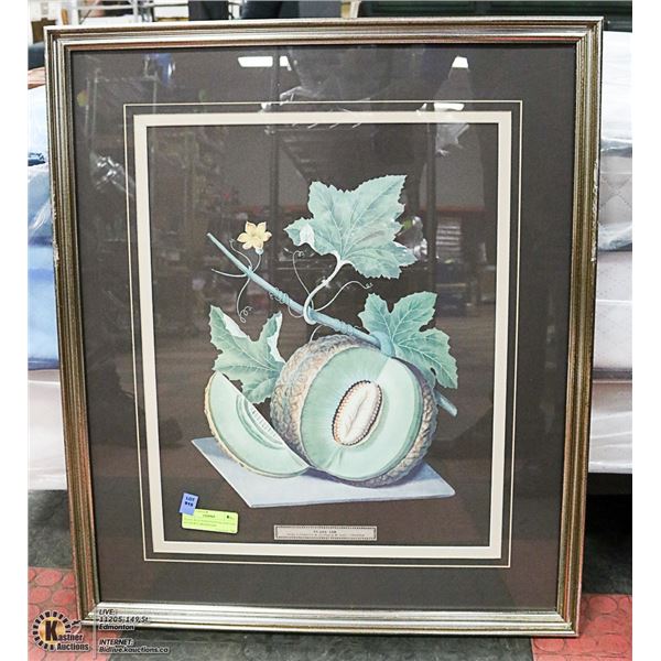 PLATE XLIV PAINTED/PUBLISHED BY AUTHOR G.BRADSHAW