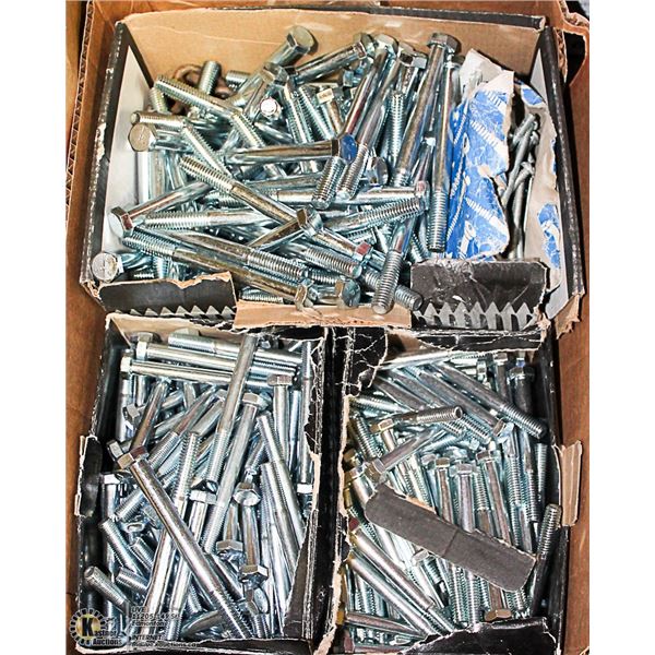 TRAY OF BOLTS